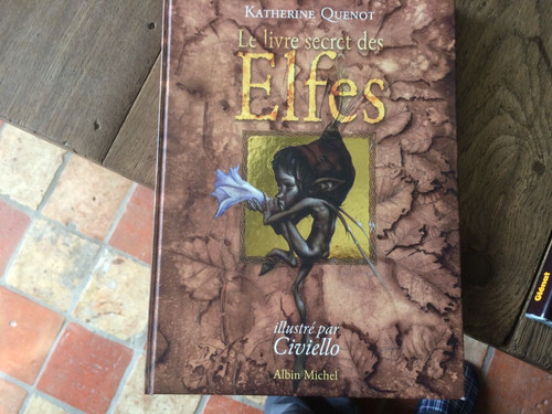 Livre secret des elfes - le,