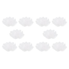 100 Pièces Plume D'Autruche