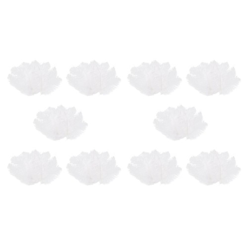 100 pièces plume autruche - 100,