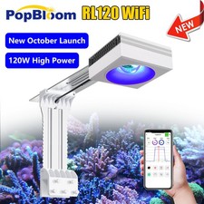 PopBloom RL115 eclairage