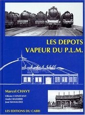 Les dépôts vapeur du PLM  de
