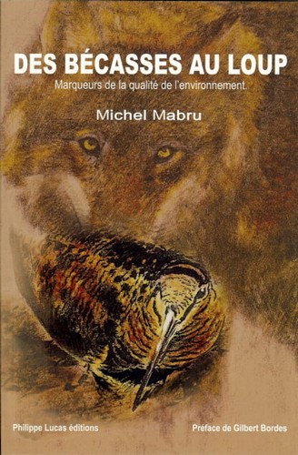 Mabru michel des bécasses - michel,