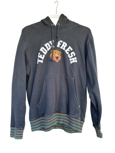 Teddy fresh hoodie embroidered - hoodie,