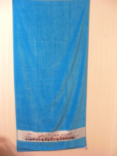 Drap bain motif chiot - bain,