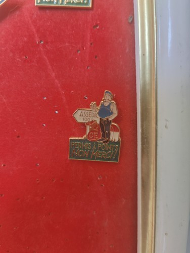 Pin humour permis points - humour,