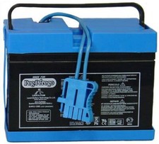 Peg Perego 12V Battery