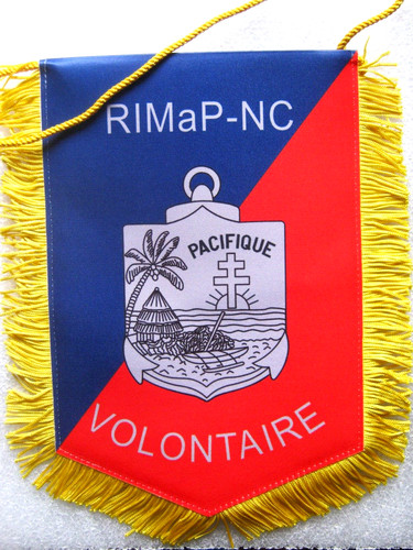 Fanion des troupes - face),