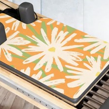 Tapis de Pilates Reformer