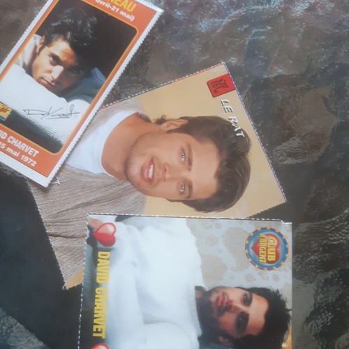 David charvet presse - charvet,