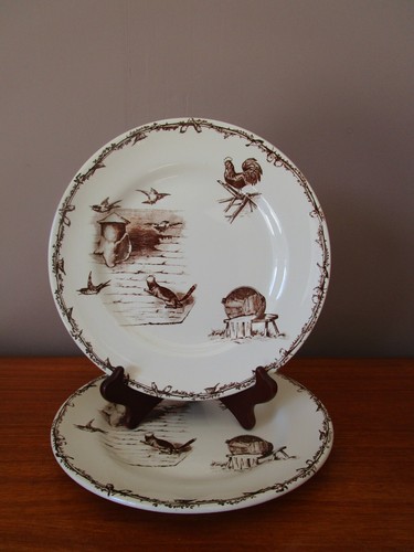 Assiettes plates choisy le - 2,
