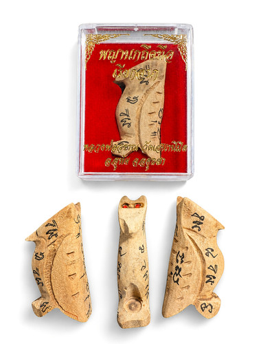 Windfall hunter night owl - hunter, thai