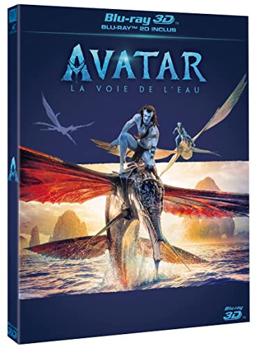 Avatar voie de l - voie,