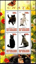Chats British Shorthair Cornish Rex Selkirk Snowshoe Animaux m s MNH