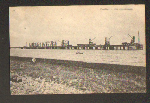 Pauillac bovin en - pauillac, (33)