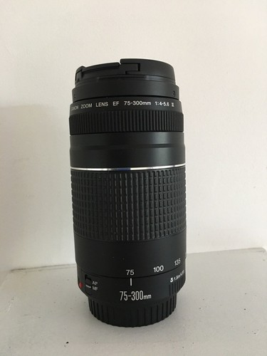 Objectif zoom canon - ef, 75-300