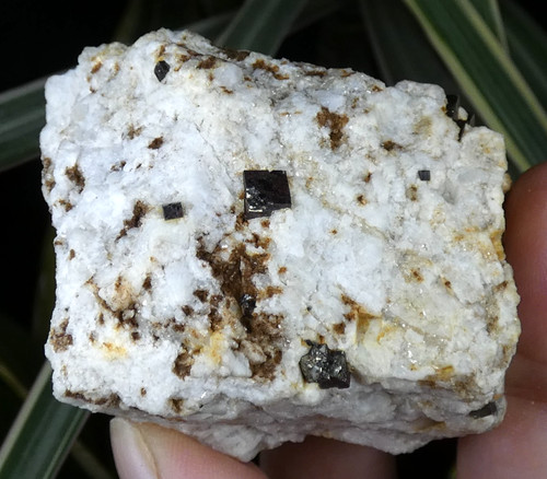 Cubes pyrite sur quartz - pyrite,