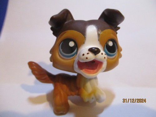 Petshop chien colley 237 - colley, n°237