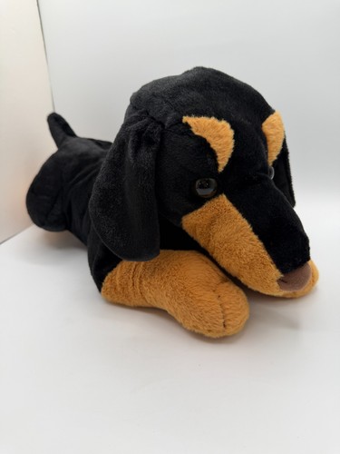 Walmart dachshund puppy - dachshund,