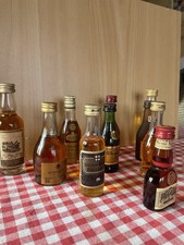 Lot de 10 mignonnettes alcool