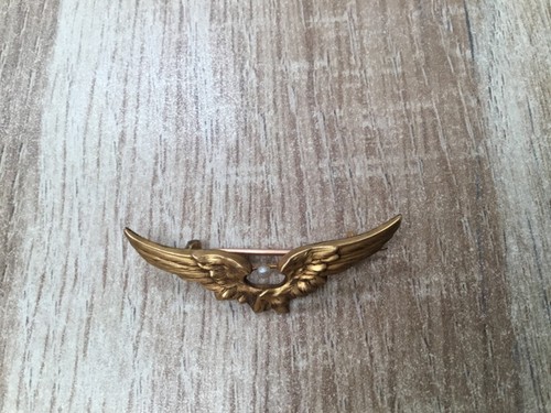 Armee air insigne de - ,