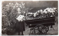 BD676 Carte Photo vintage card RPPC Femme woman charriot fleuri fleurs charrette