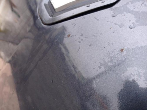Capot renault megane phase 1 - capot,