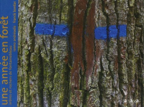 Une année forêt arbres - année, en