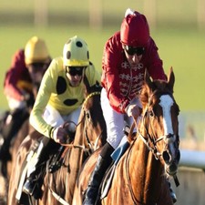 METHODE de TURF : LE PLAN DE