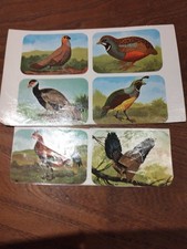 Images. LES OISEAUX HEMMERLIN