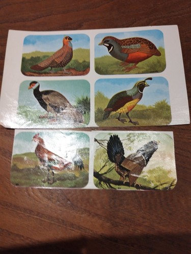 Images les oiseaux - oiseaux, hemmerlin