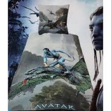 1 housse de couette + 1 taie