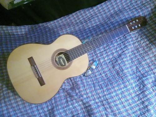1979 giannini awn71 - 1979,