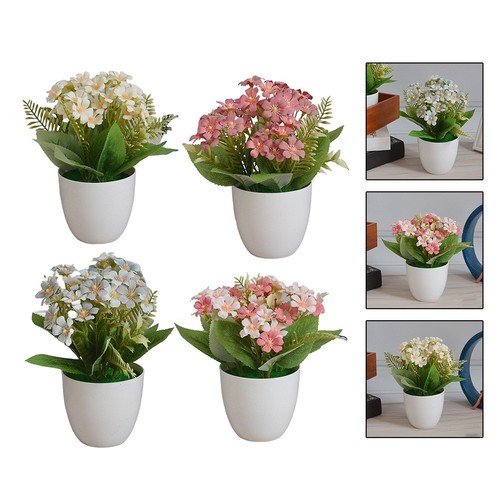 Plante pot fleurs - plante,