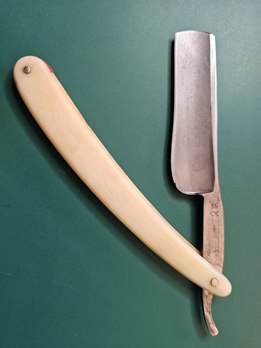 Coupe choux filarmonica - choux, 14