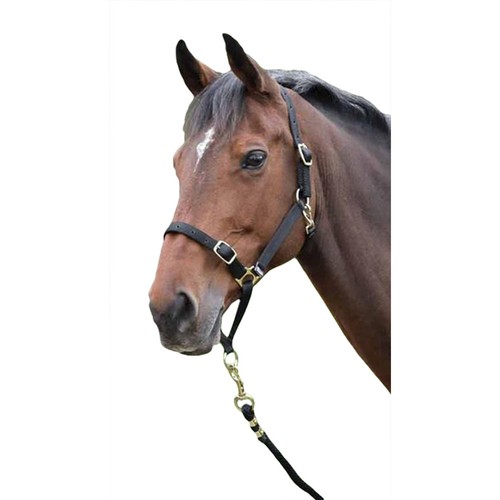 Shires licol - -, (er336)