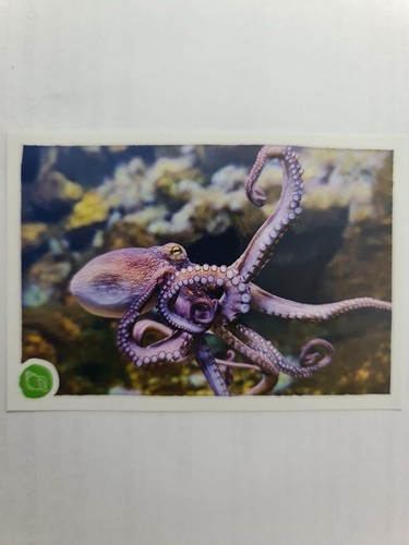 Image sticker autocollant