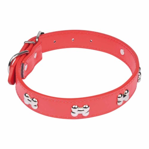 Collier fantaisie pour chien - collier,