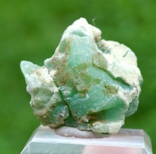Chrysoprase 38 grammes - Szklary, Gmina Ząbkowice Śląskie, Pologne