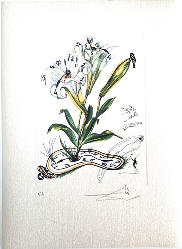 Salvador dalí original - dalí, signé