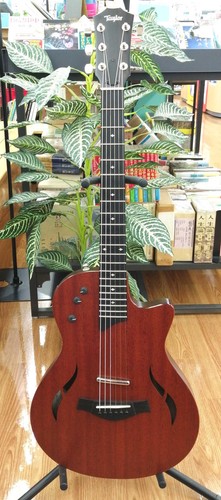 Taylor t5z lassic - taylor, electric