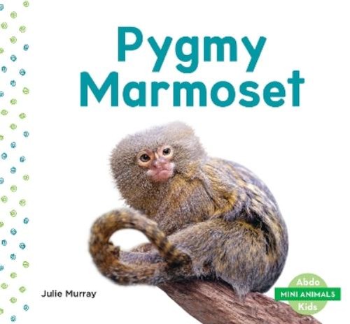 Julie murray pygmy marmoset - julie,