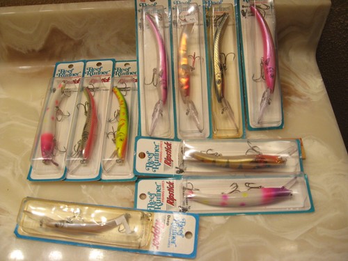 Asst reef runner rip stick - asst,