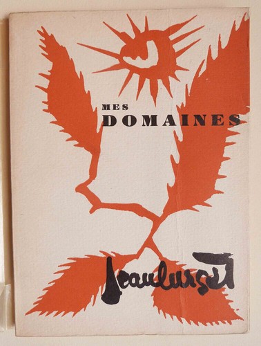 Lurcat mes domaines - lurcat,