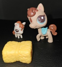 ✨️Authentic Pet Shop