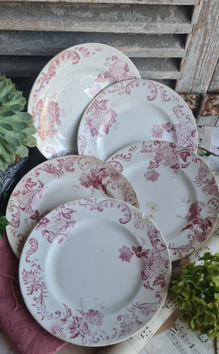 Anciennes assiettes plates - anciennes,