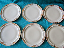 6 assiettes plates en