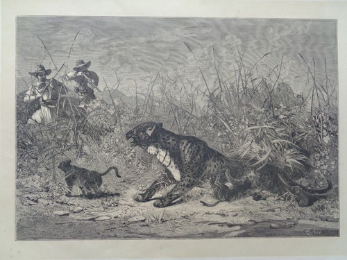 Grande gravure ancienne sur - grande,