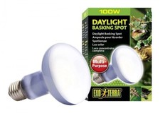 Exo Terra Ampoule Daylight Basking Spot 100 W REPTILES TORTUES pour terrarium