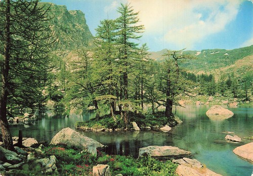 Vallee des merveilles - 6, le