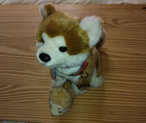 Peluche chien shiba akita - ou,